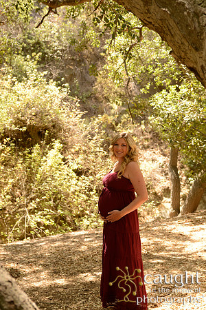 31 Maternity Portraits