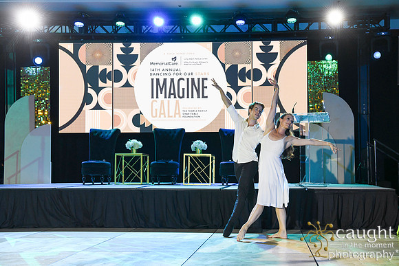 291 Imagine Gala 2024