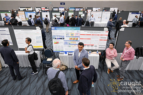 1406 IEEE PES TandD Anaheim 2024