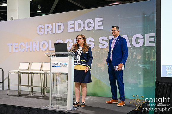 588 IEEE PES TandD Anaheim 2024