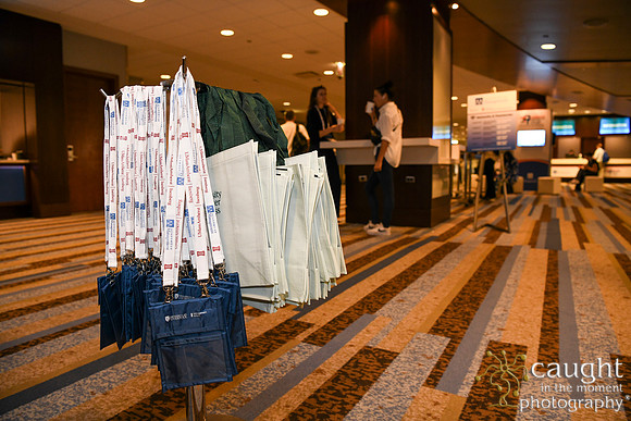 023 AOM 2024 Registration & Networking Hubs