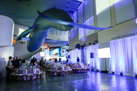 125 Aquarium of the Pacific Blue Whale Gala and After Party 2025