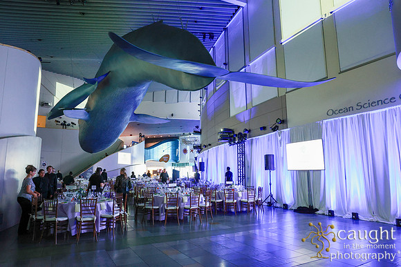 125 Aquarium of the Pacific Blue Whale Gala and After Party 2025