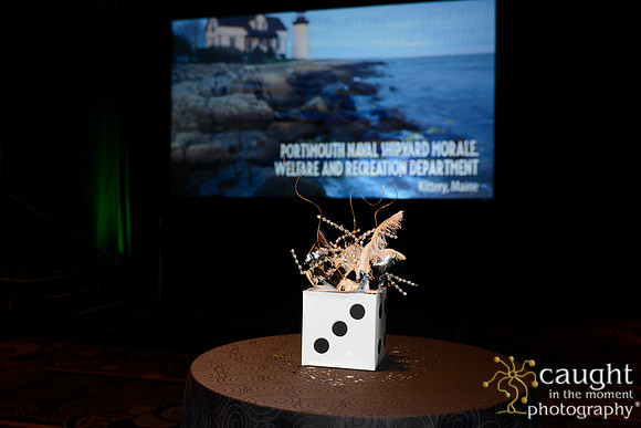 266 NRPA 2015 Gold Medal Reception