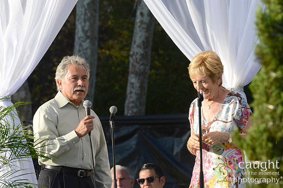 113 MTW Broadway in the Park 2014