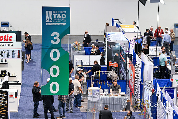 550 IEEE PES TandD Anaheim 2024