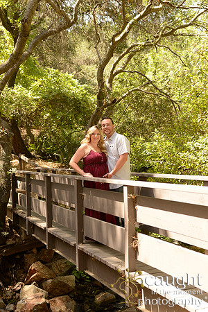 43 Maternity Portraits