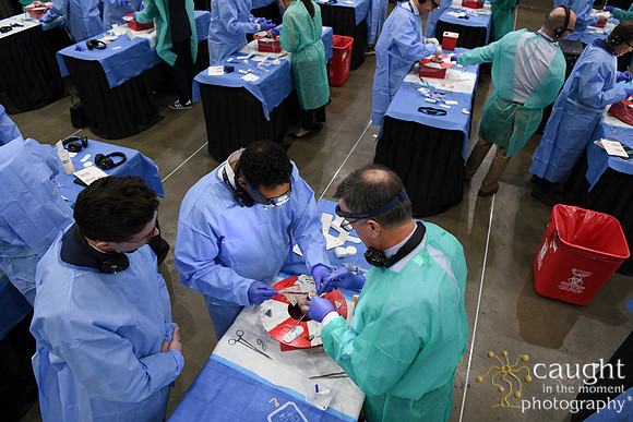924 STS2025-Hands-On Courses