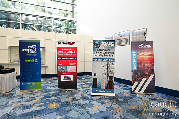 020 IEEE PES TandD Anaheim 2024
