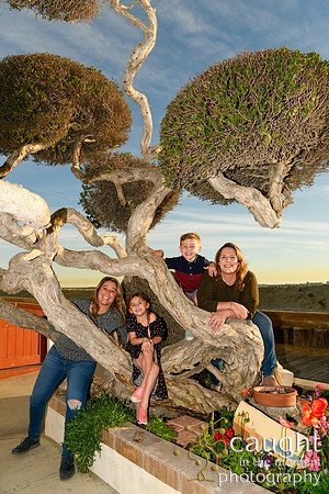024 Bloch-Nealy Family Portraits in Long Beach