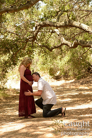 23 Maternity Portraits