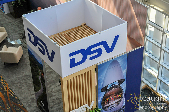 011 DSV at TPM25