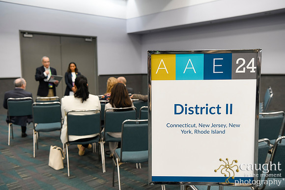 1035 AAE 2024 in Los Angeles - District Caucuses