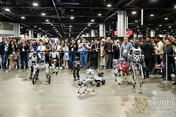 1405 IEEE ICRA 2025 Atlanta