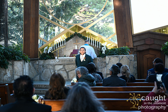 270 Castellon Wedding at Wayfarers Chapel and Long Beach Museum of Art