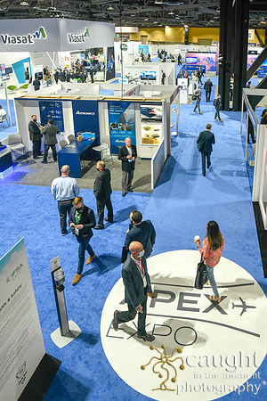 1059 APEX IFSA EXPO2021