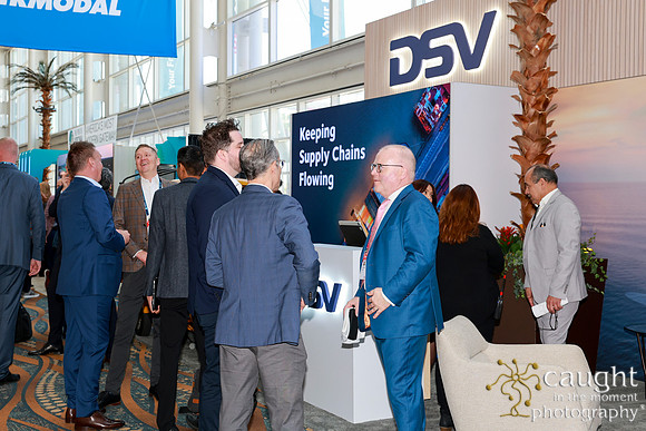 043 DSV at TPM25
