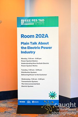 1009 IEEE PES TandD Anaheim 2024