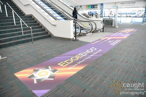 090 AAE 2024 in Los Angeles - Registration & Signage