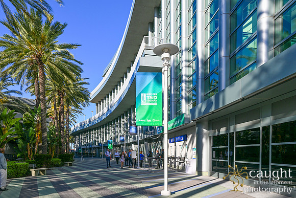 007 IEEE PES TandD Anaheim 2024