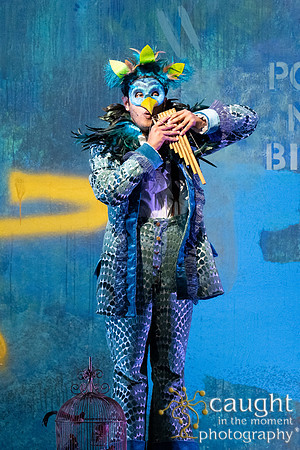 016 The Magic Flute 2025