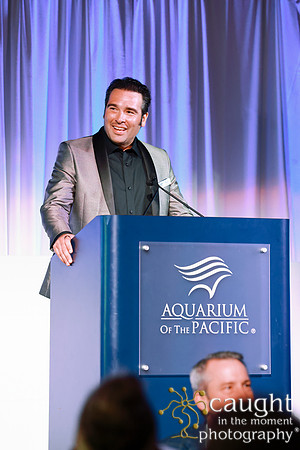 158 Aquarium of the Pacific Blue Whale Gala and After Party 2025