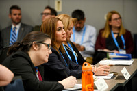 334 NACo 2025 Leg-Saturday-Finance, Pensions & Intergovernmental Affairs