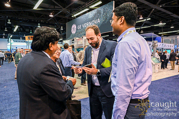 364 IEEE PES TandD Anaheim 2024