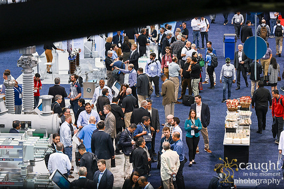 529 IEEE PES TandD Anaheim 2024