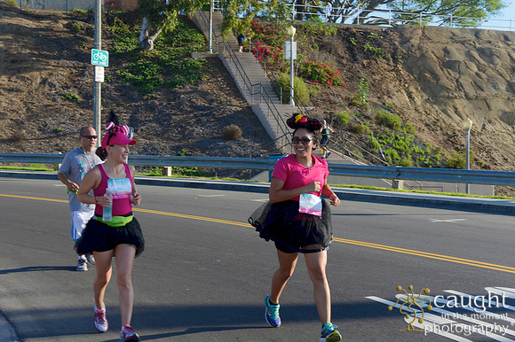035 Team Spirit Long Beach 2015 5K 10K Walk