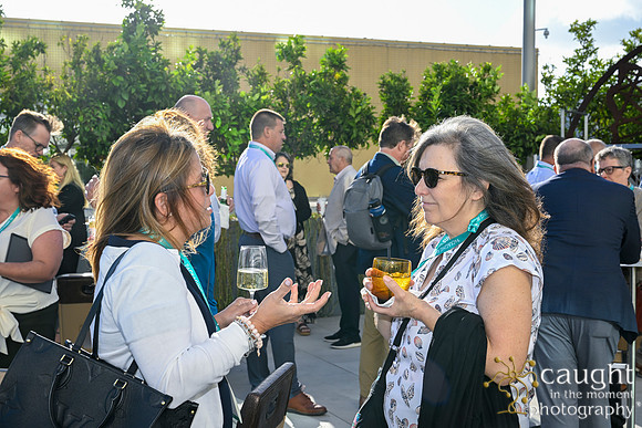 146 Packaging Recycling Summit 2024
