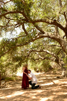 25 Maternity Portraits