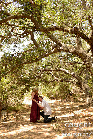 25 Maternity Portraits