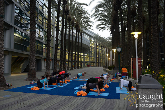 1289 OMED 2016-Yoga