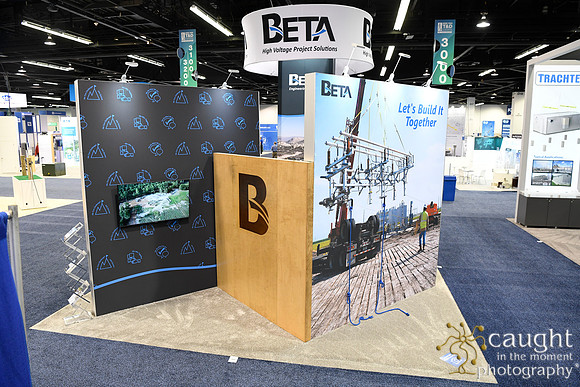025 IEEE PES T&D 2024-Beta