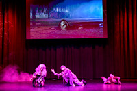 216 NPC Awards Gala 2025 Phoenix