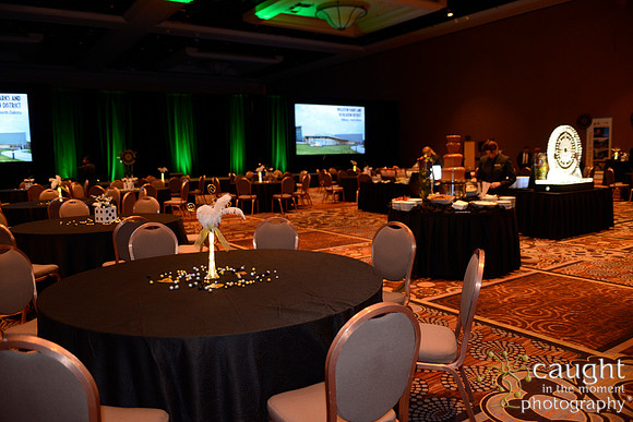 276 NRPA 2015 Gold Medal Reception