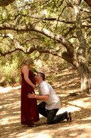 19 Maternity Portraits