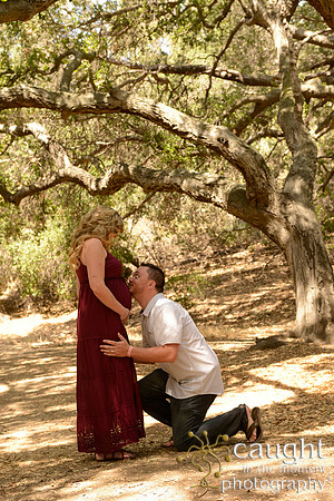 19 Maternity Portraits