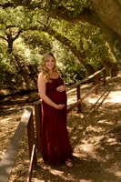 14 Maternity Portraits