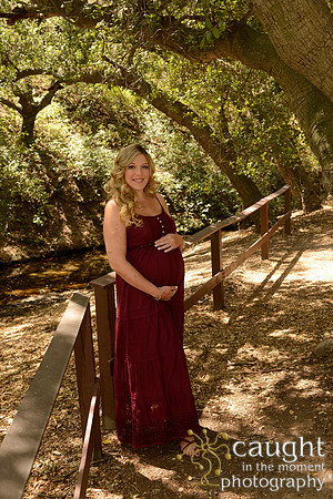 14 Maternity Portraits