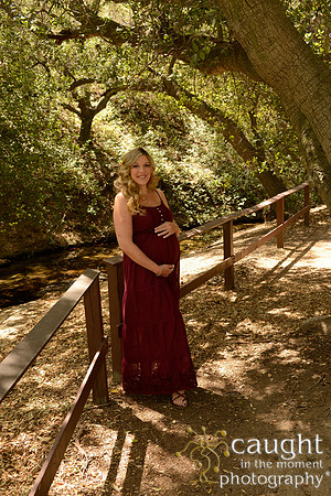 13 Maternity Portraits