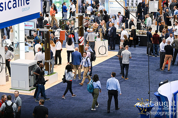 549 IEEE PES TandD Anaheim 2024