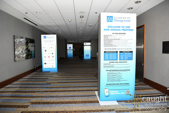 085 AOM 2024 Registration & Networking Hubs