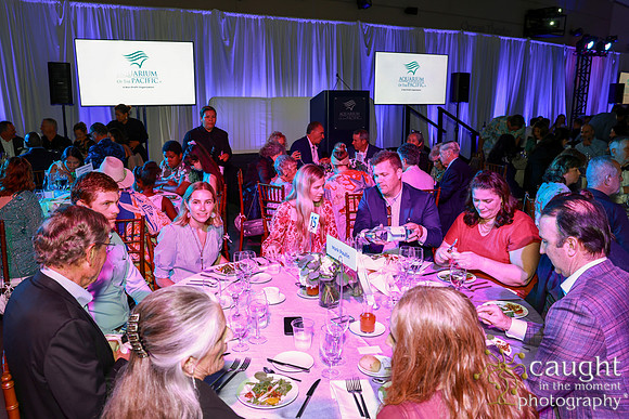 142 Aquarium of the Pacific Blue Whale Gala and After Party 2025