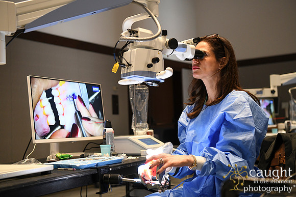 387 AAE 2025 in Boston - Hands-On Courses