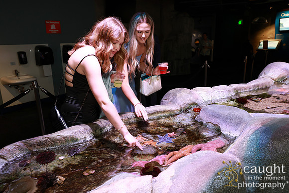 278 Aquarium of the Pacific Blue Whale Gala and After Party 2025