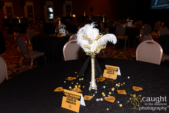 262 NRPA 2015 Gold Medal Reception