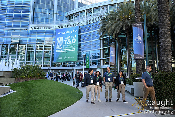 011 IEEE PES TandD Anaheim 2024
