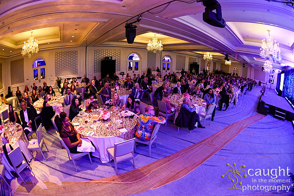 206 Foundation Gala 2022